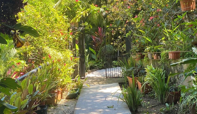 Carpenter. A paradise in the middle of nature.