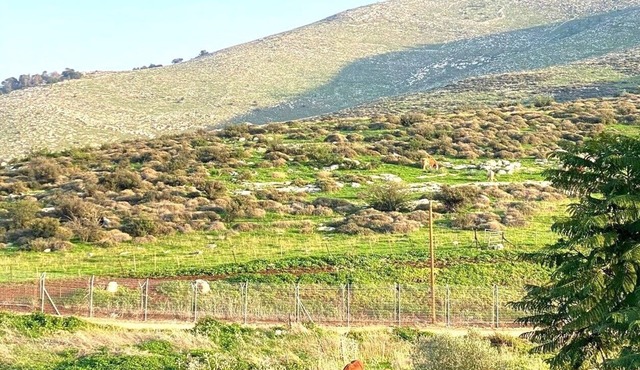 Casa Gilboa - The perfect country getaway.