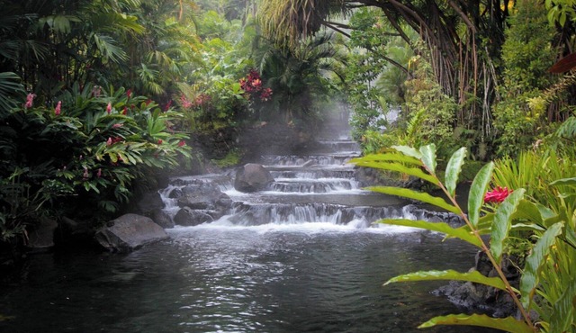 CASA GRANDE PURA VIDA LA FORTUNA