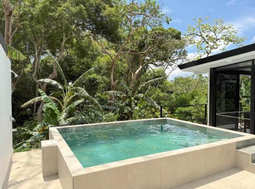Casa La Paz, Paix, Jungle, Singes, Piscine à Atenas