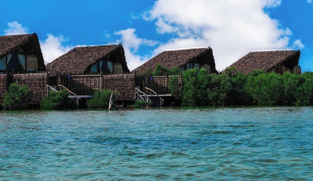 Casa Mikoko