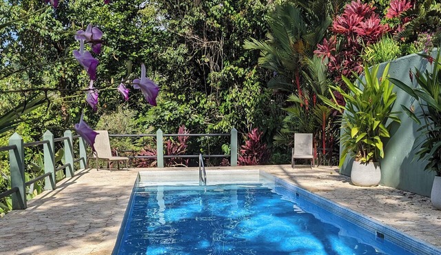 Casa Toucan: Private Jungle Setting with Ocean-View and 40 Foot Pool in uvita