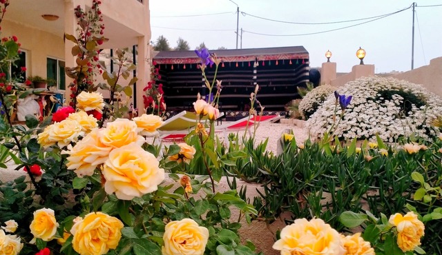 Charming bed & breakfast with AC, WiFi in enjoyable Wadi Musa