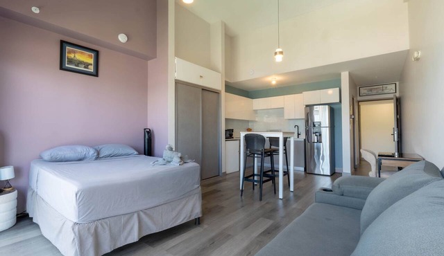 Chic Loft in Barrio Escalante