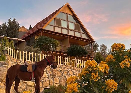 Dana luxury huts