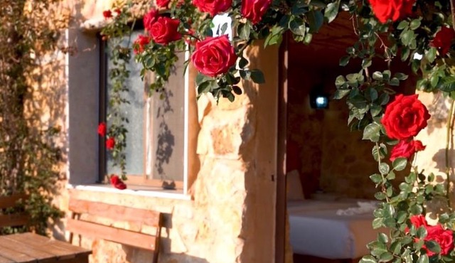 Dana Trail Hotel