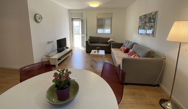 Deluxe 2 bedrooms & balcony - Raanana Park