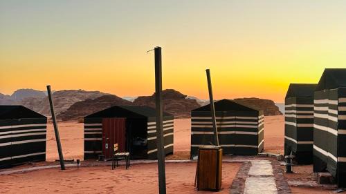 Desert Nights camp