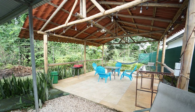 Discover Coconut in apartments 3 hermanas #1