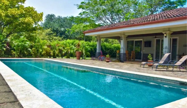 Dream villa with guest house and semi-Olympic pool!
