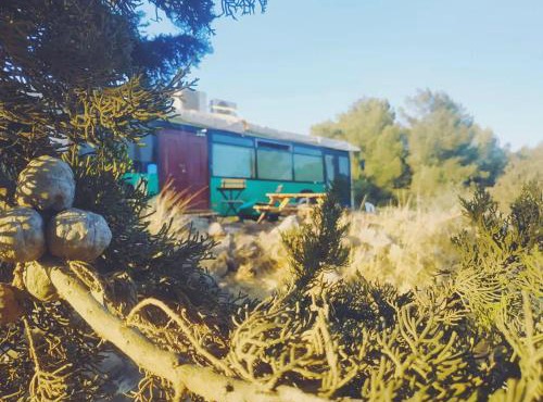 eco bus