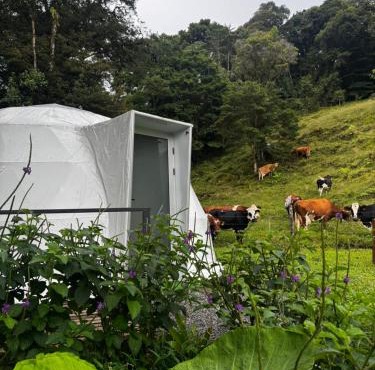 Epífita, Bosque Nuboso Glamping Monteverde