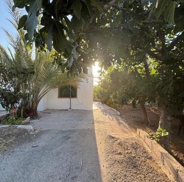 Featured House Furnished Independent for Rent