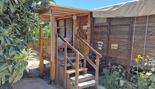 Galilee Bedouin Camplodge