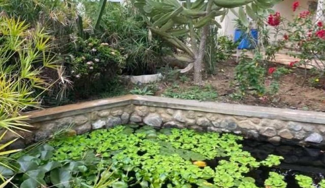 Garden Roomz Oman - the goto B&B spot in Muscat