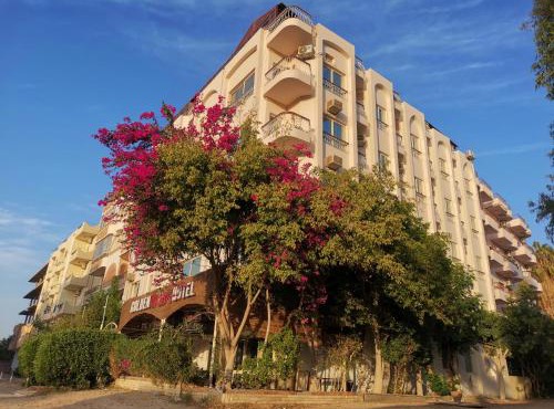 Golden Rose Hotel in Hurghada