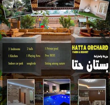 Hatta Orchard
