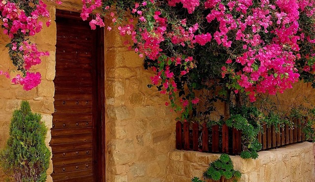 Hayat Zaman Hotel & Resort