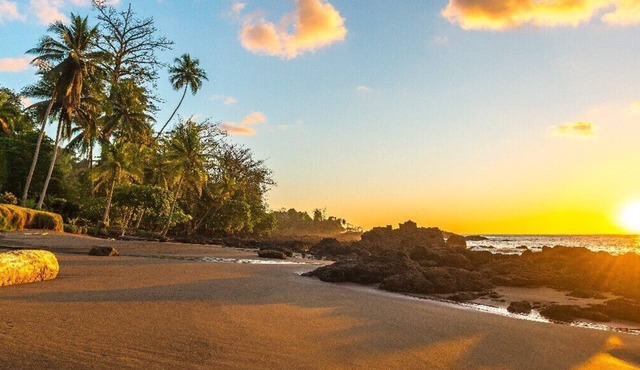Hotel Carlota Tamarindo