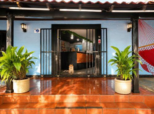 hotel Oasis Managua Experience - HOME