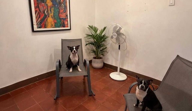 HOUSE IN GRANADA WITH A/C PETS WELCOME