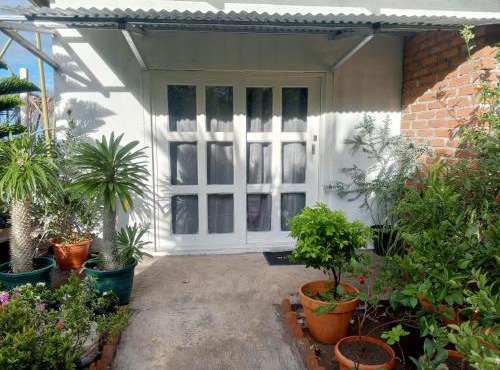 house of the gardens