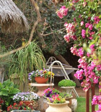 Idan Lodge in the Arava