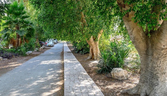 Jordan Valley Birding Lodge