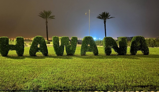 Jozefina - Hawana Salalah - Caribbean Middle East