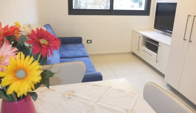 KOSHER 1 bedroom Apartment in Old Katamon