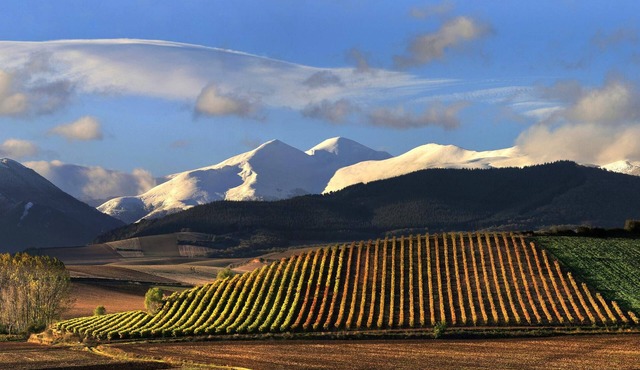 La Rioja in La Rioja