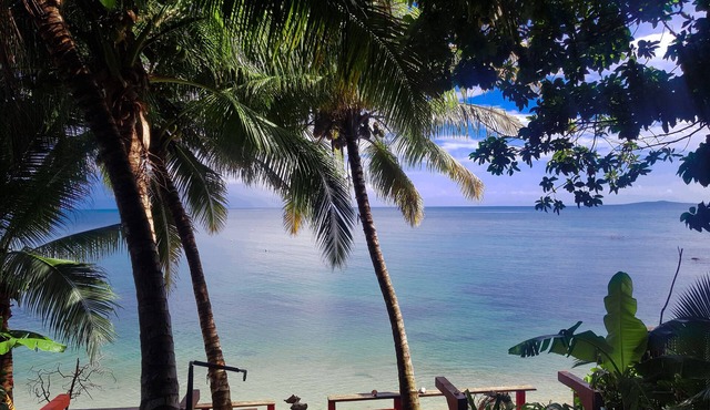 Las Palmeras Beachfront Hotel