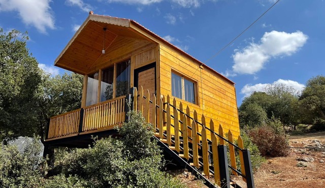 Live amid nature in the most beautiful Ajloun Hut