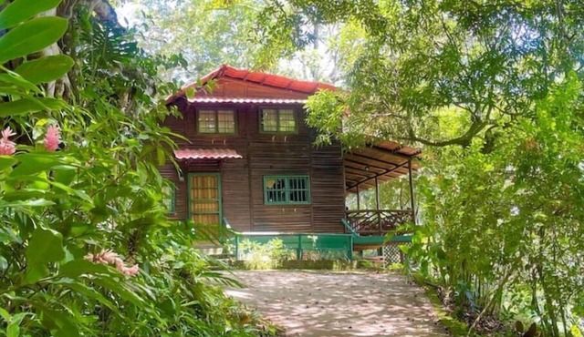 Log cabin. Wooden soul dressed in jungle pet friendly
