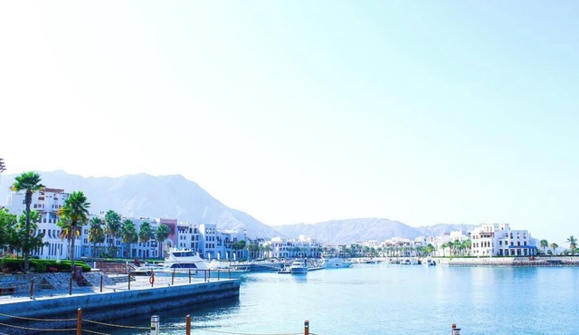 Luxurious Marina Views