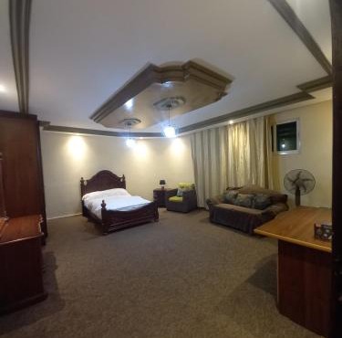 Luxury furnished apartment for rent - شقة فاخرة مفروشة للإيجار