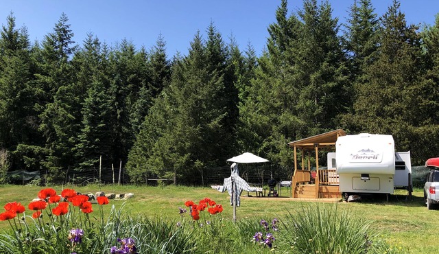 Misty Haven Farm in Ladysmith