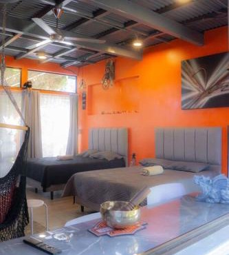 Monkey garage en Orosi