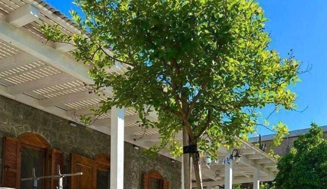 Noga Resort- resort & villa North Israel