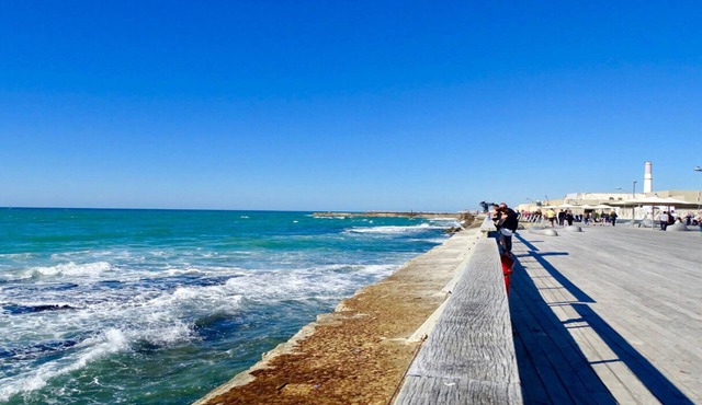 Oַ&O Group- 3BRAn Authentic Family Beach Villa- Prime Locatiom Tel-Aviv