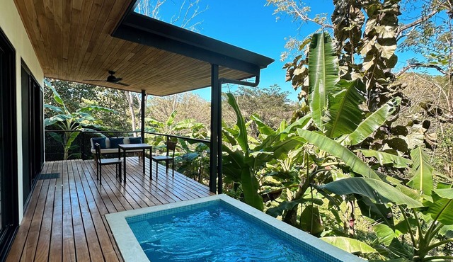 One Bedroom House w/Private Pool in a Jungle Paradise, Quiet & Fast Wifi