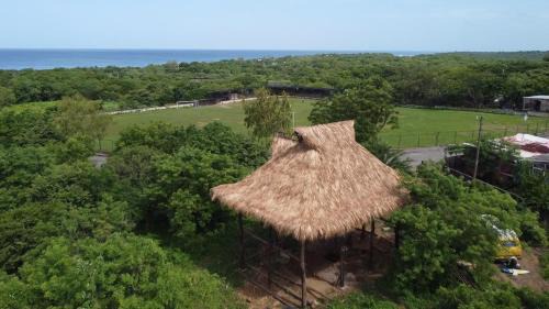 Palapa