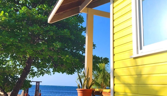 Reefside Retreat Yellow Casita in Santos Guardiola