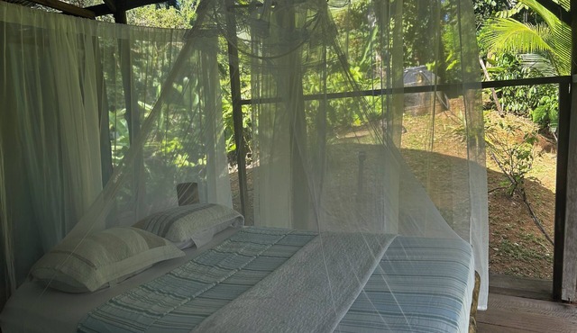 Rio Agujitas Eco Farm Hostel and Tours