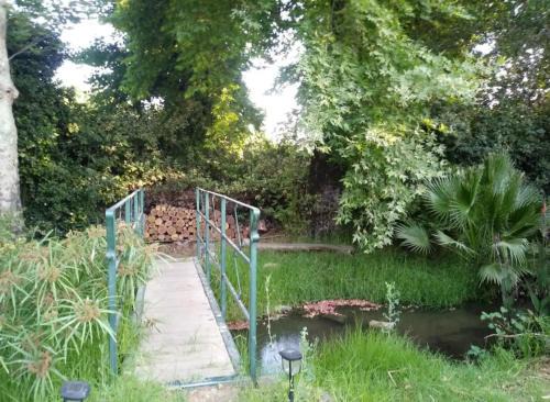 River in the Garden