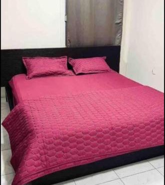 Room available in one bedroom appartment