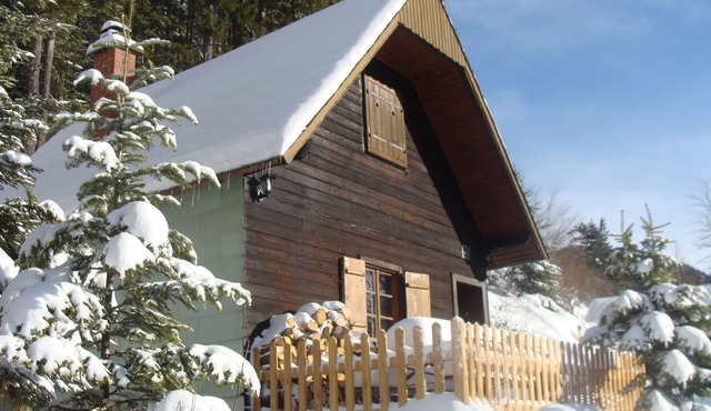 Rustic alpine hut near ski slope with sauna in Vordernberg