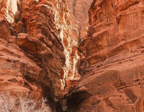 Salem Wadi Rum Road