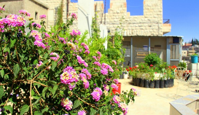 Shurooq Shams Hotel & Tours By Sunrise
