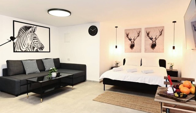 Studio Hagalil apartment